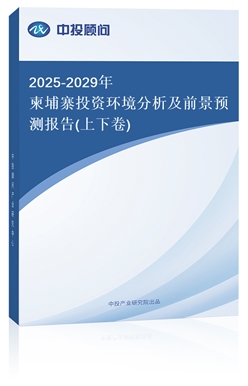 2025-2029կͶYh(hun)ǰA(y)y(bo)(¾)