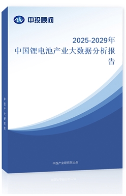 2025-2029Ї(gu)늳خa(chn)I(y)(sh)(j)(bo)