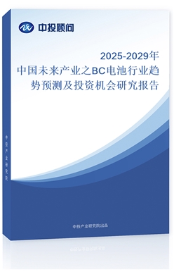 2025-2029Ї(gu)δa(chn)I(y)֮BC늳ИI(y)څ(sh)A(y)y(c)ͶYC(j)(hu)о(bo)