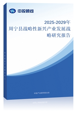 2025-2029܌h(zhn)da(chn)I(y)l(f)չ(zhn)о